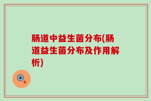肠道中益生菌分布(肠道益生菌分布及作用解析)