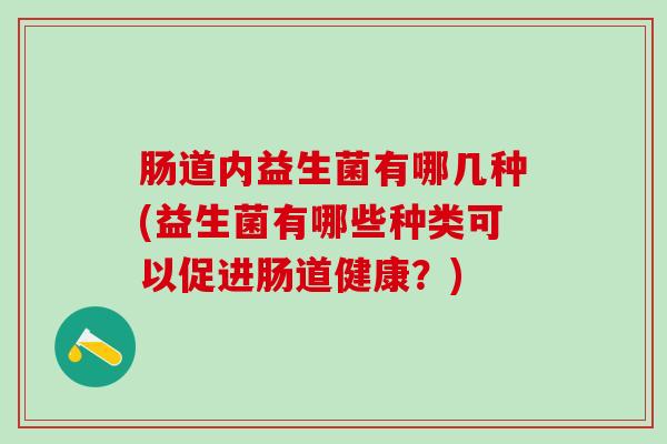 肠道内益生菌有哪几种(益生菌有哪些种类可以促进肠道健康？)