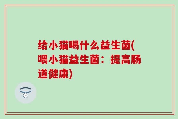 给小猫喝什么益生菌(喂小猫益生菌：提高肠道健康)