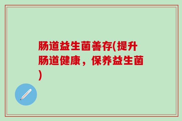 肠道益生菌善存(提升肠道健康，保养益生菌)
