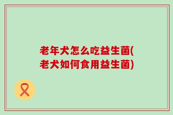老年犬怎么吃益生菌(老犬如何食用益生菌) 老年犬怎么吃益生菌(老犬如何食用益生菌)