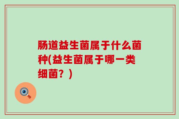 肠道益生菌属于什么菌种(益生菌属于哪一类细菌？)