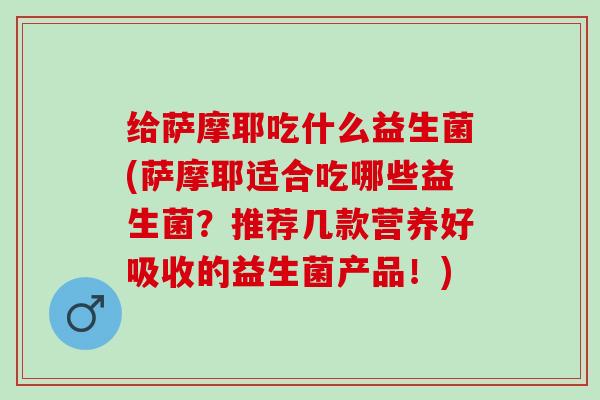 给萨摩耶吃什么益生菌(萨摩耶适合吃哪些益生菌？推荐几款营养好吸收的益生菌产品！)