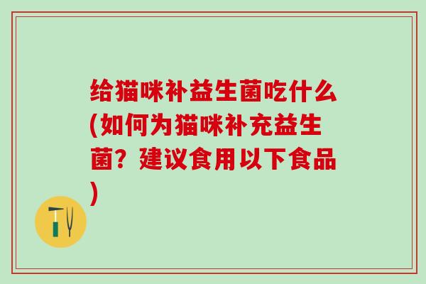 给猫咪补益生菌吃什么(如何为猫咪补充益生菌？建议食用以下食品)