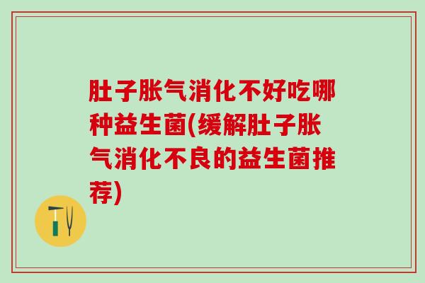 肚子消化不好吃哪种益生菌(缓解肚子的益生菌推荐)