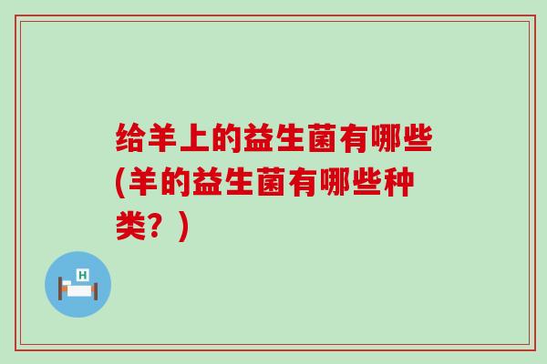 给羊上的益生菌有哪些(羊的益生菌有哪些种类？)
