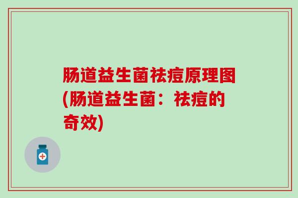 肠道益生菌祛痘原理图(肠道益生菌：祛痘的奇效)