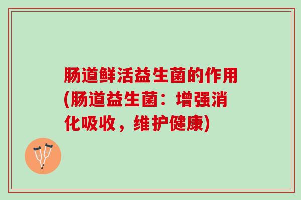 肠道鲜活益生菌的作用(肠道益生菌:增强消化吸收,维护健康) 肠道鲜活益生菌的作用(肠道益生菌:增强消化吸收,维护健康)