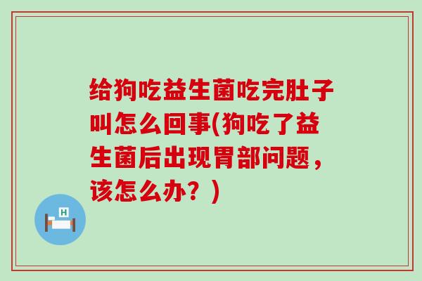 给狗吃益生菌吃完肚子叫怎么回事(狗吃了益生菌后出现胃部问题，该怎么办？)