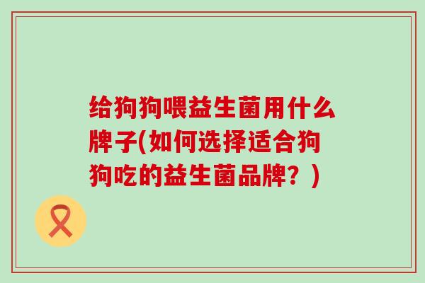 给狗狗喂益生菌用什么牌子(如何选择适合狗狗吃的益生菌品牌？)