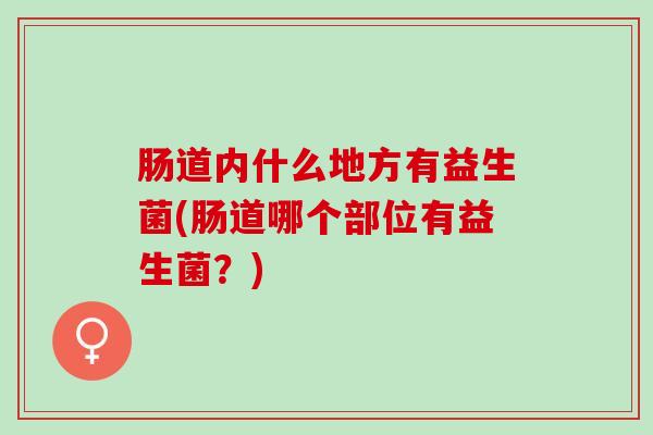 肠道内什么地方有益生菌(肠道哪个部位有益生菌？)