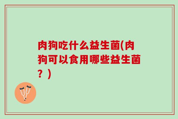 肉狗吃什么益生菌(肉狗可以食用哪些益生菌？)