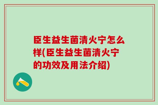 臣生益生菌清火宁怎么样(臣生益生菌清火宁的功效及用法介绍)