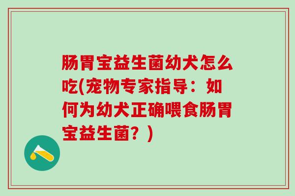 肠胃宝益生菌幼犬怎么吃(宠物专家指导：如何为幼犬正确喂食肠胃宝益生菌？)