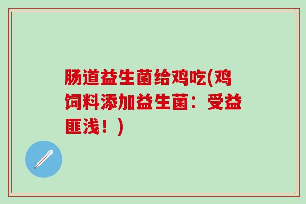 肠道益生菌给鸡吃(鸡饲料添加益生菌：受益匪浅！)