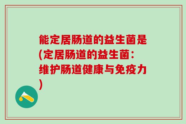 能定居肠道的益生菌是(定居肠道的益生菌：维护肠道健康与免疫力)