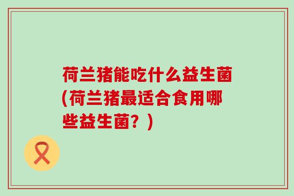 荷兰猪能吃什么益生菌(荷兰猪最适合食用哪些益生菌？)