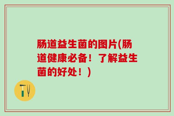 肠道益生菌的图片(肠道健康必备！了解益生菌的好处！)