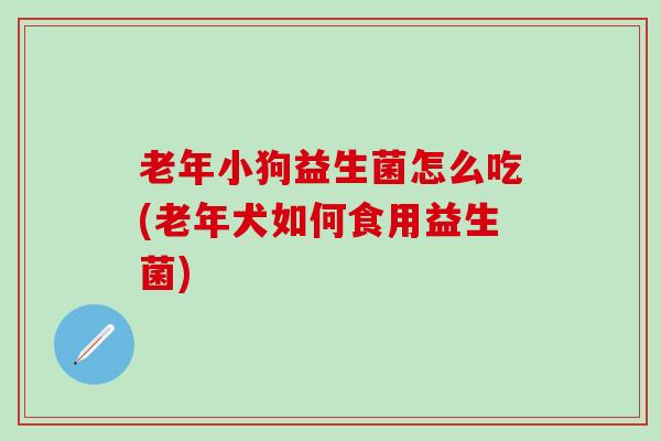 老年小狗益生菌怎么吃(老年犬如何食用益生菌)