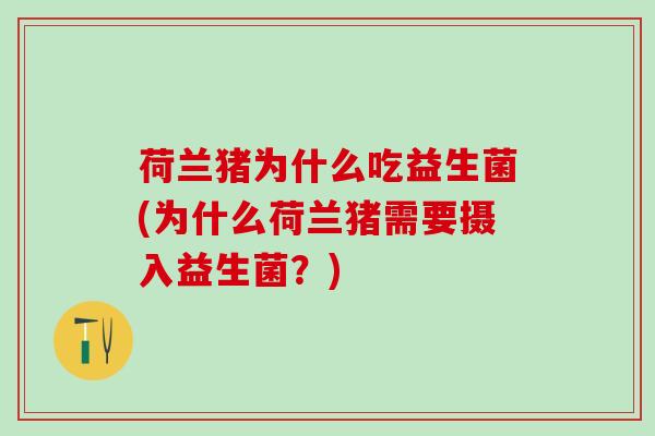 荷兰猪为什么吃益生菌(为什么荷兰猪需要摄入益生菌？)