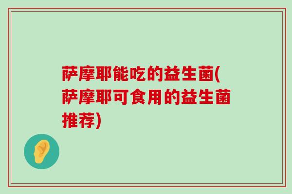 萨摩耶能吃的益生菌(萨摩耶可食用的益生菌推荐)