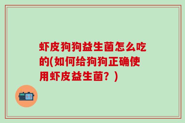 虾皮狗狗益生菌怎么吃的(如何给狗狗正确使用虾皮益生菌？)