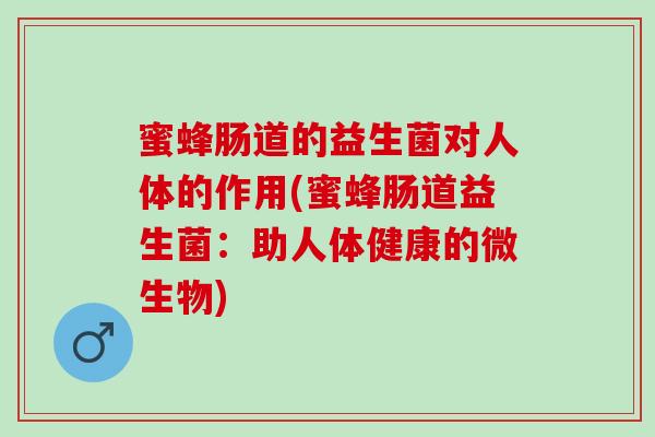 蜜蜂肠道的益生菌对人体的作用(蜜蜂肠道益生菌：助人体健康的微生物)