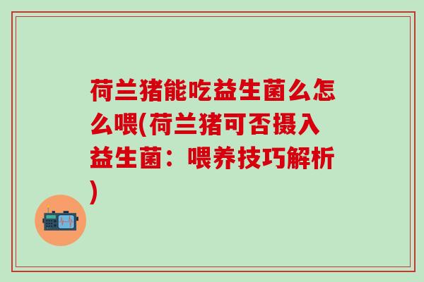 荷兰猪能吃益生菌么怎么喂(荷兰猪可否摄入益生菌:喂养技巧解析) 荷兰猪能吃益生菌么怎么喂(荷兰猪可否摄入益生菌:喂养技巧解析)