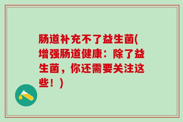 肠道补充不了益生菌(增强肠道健康：除了益生菌，你还需要关注这些！)