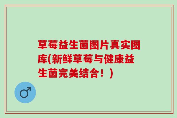 草莓益生菌图片真实图库(新鲜草莓与健康益生菌完美结合！)