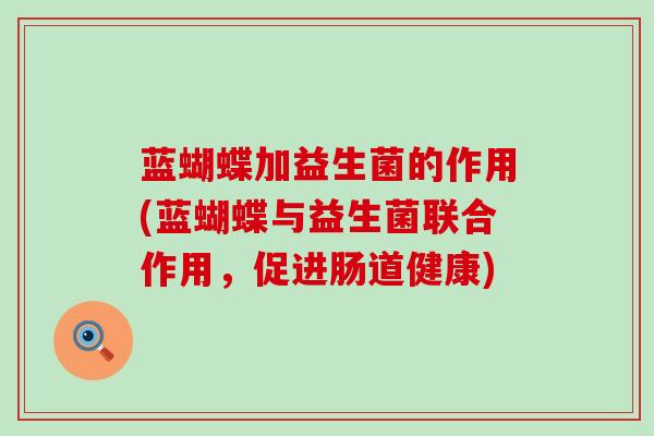 蓝蝴蝶加益生菌的作用(蓝蝴蝶与益生菌联合作用，促进肠道健康)