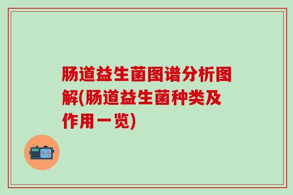 肠道益生菌图谱分析图解(肠道益生菌种类及作用一览)