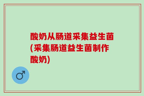 酸奶从肠道采集益生菌(采集肠道益生菌制作酸奶)