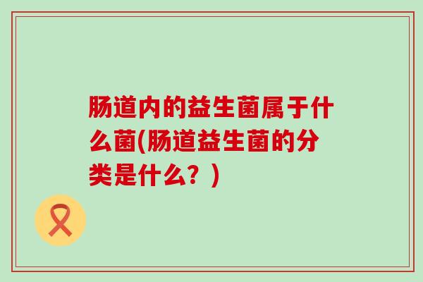 肠道内的益生菌属于什么菌(肠道益生菌的分类是什么？)