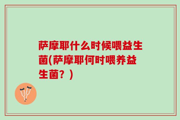 萨摩耶什么时候喂益生菌(萨摩耶何时喂养益生菌？)