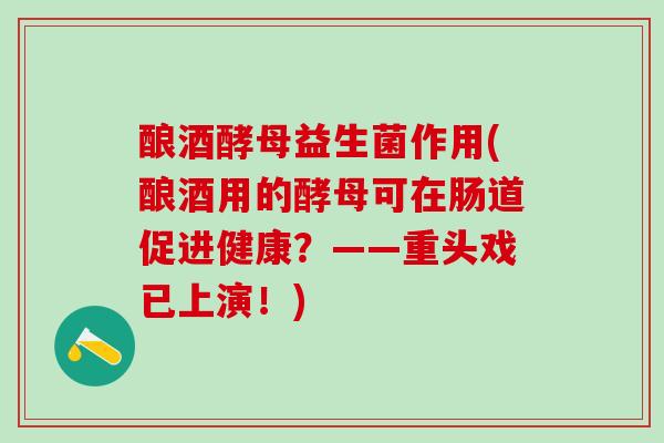 酿酒酵母益生菌作用(酿酒用的酵母可在肠道促进健康？——重头戏已上演！)