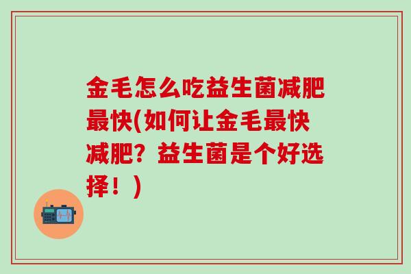 金毛怎么吃益生菌减肥最快(如何让金毛最快减肥？益生菌是个好选择！)