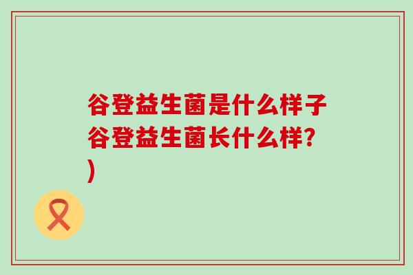 谷登益生菌是什么样子谷登益生菌长什么样？)