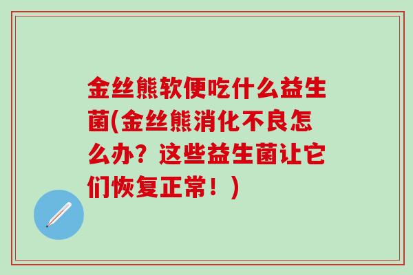 金丝熊软便吃什么益生菌(金丝熊怎么办？这些益生菌让它们恢复正常！)