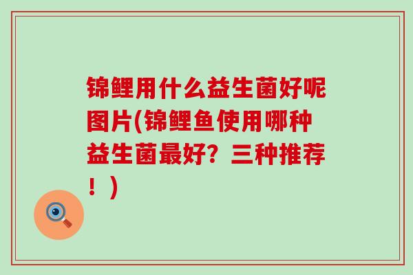 锦鲤用什么益生菌好呢图片(锦鲤鱼使用哪种益生菌最好？三种推荐！)