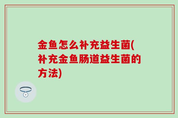 金鱼怎么补充益生菌(补充金鱼肠道益生菌的方法)