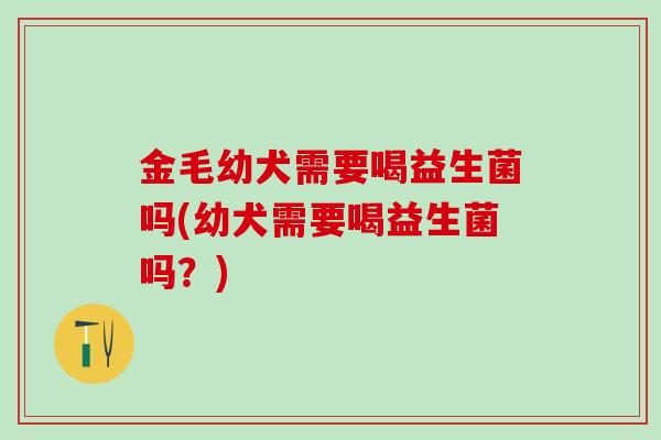 金毛幼犬需要喝益生菌吗(幼犬需要喝益生菌吗？)