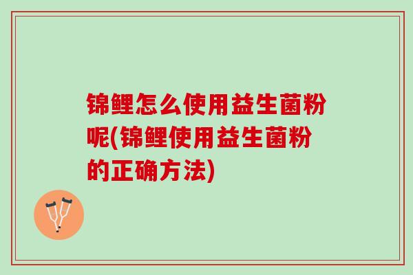 锦鲤怎么使用益生菌粉呢(锦鲤使用益生菌粉的正确方法)