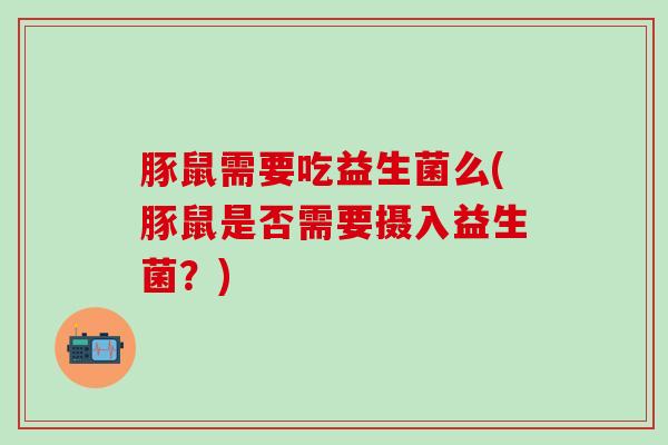 豚鼠需要吃益生菌么(豚鼠是否需要摄入益生菌？)