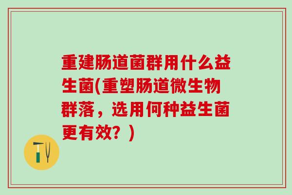 重建肠道菌群用什么益生菌(重塑肠道微生物群落，选用何种益生菌更有效？)
