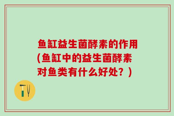 鱼缸益生菌酵素的作用(鱼缸中的益生菌酵素对鱼类有什么好处？)