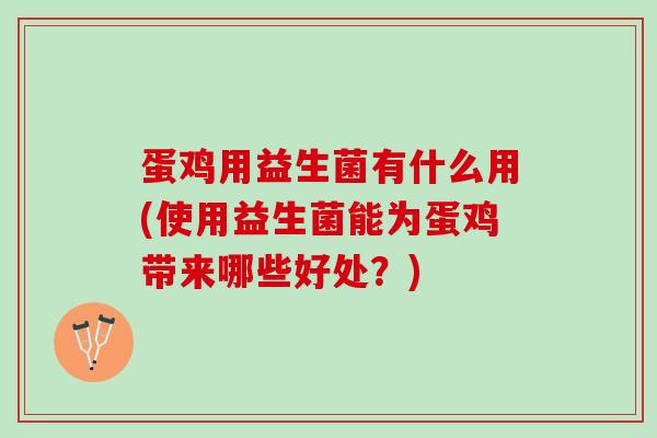 蛋鸡用益生菌有什么用(使用益生菌能为蛋鸡带来哪些好处？)