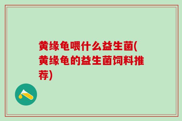 黄缘龟喂什么益生菌(黄缘龟的益生菌饲料推荐)