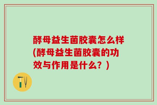 酵母益生菌胶囊怎么样(酵母益生菌胶囊的功效与作用是什么？)
