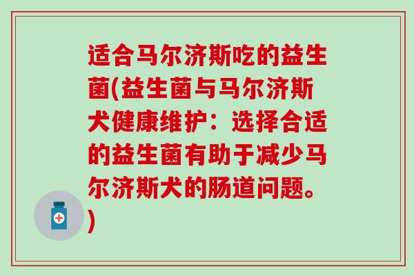 适合马尔济斯吃的益生菌(益生菌与马尔济斯犬健康维护：选择合适的益生菌有助于减少马尔济斯犬的肠道问题。)